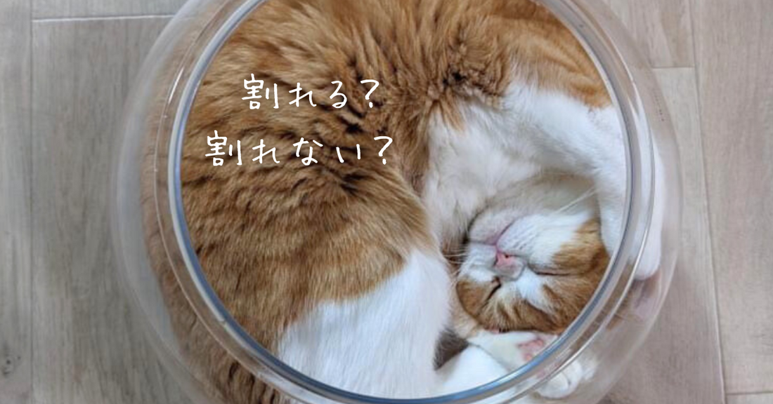 Catisの割れない猫鉢って本当に割れないの?