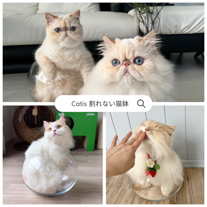 作家さんの器と暮らしにまつわる道具のお店|イロドリ|オンラインストア 作家さんの器と暮らしにまつわる道具のお店|イロドリ|オンラインストア