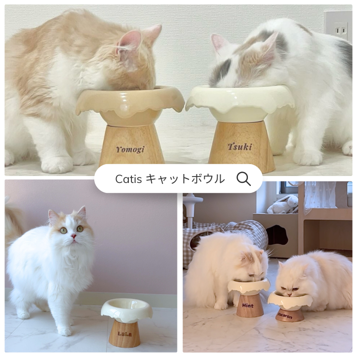 キャットボウル | Catis Store