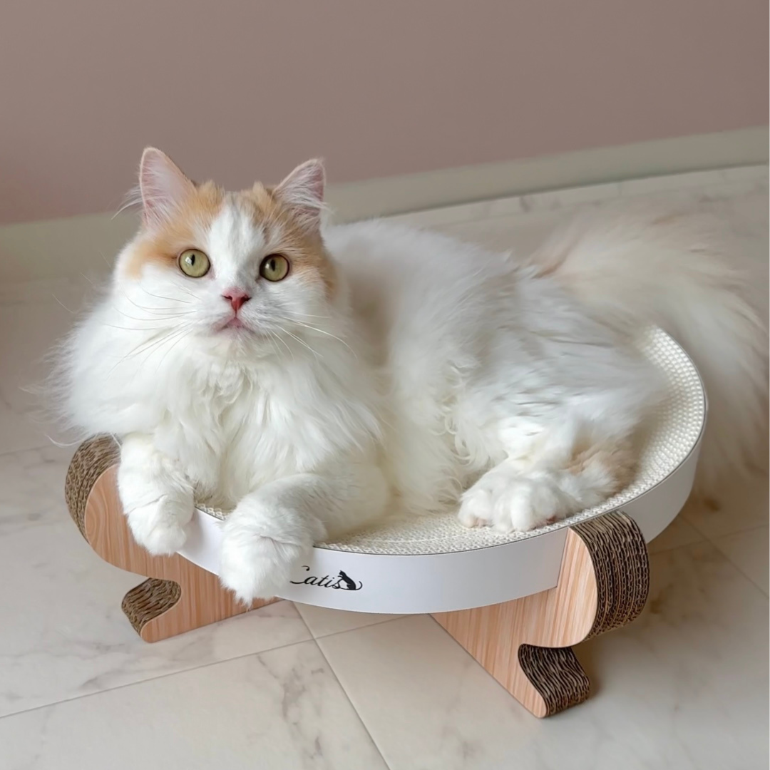 【オススメ!!】キャットスクラッチャー ラウンドタイプ
