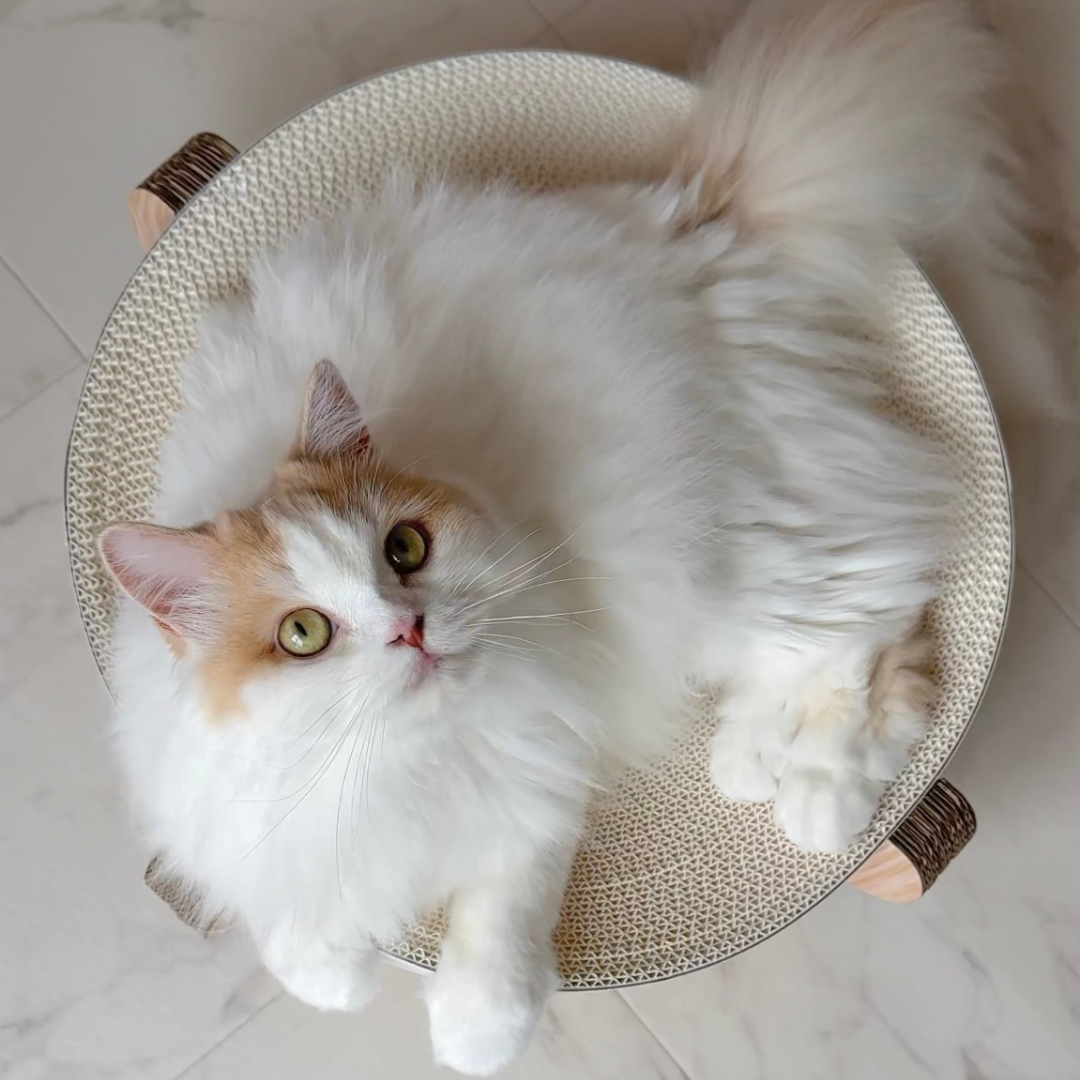 キャットスクラッチャー ラウンドタイプ