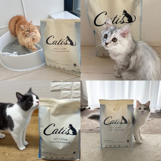 【リピート率高!!】キャットリッター 4袋セット