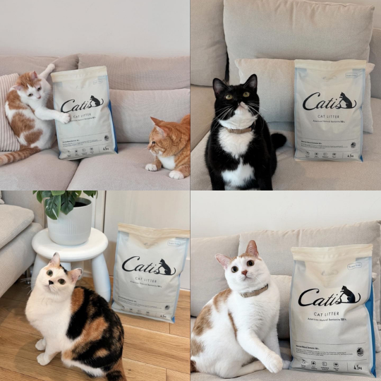 【リピート率高!!】キャットリッター 4袋セット