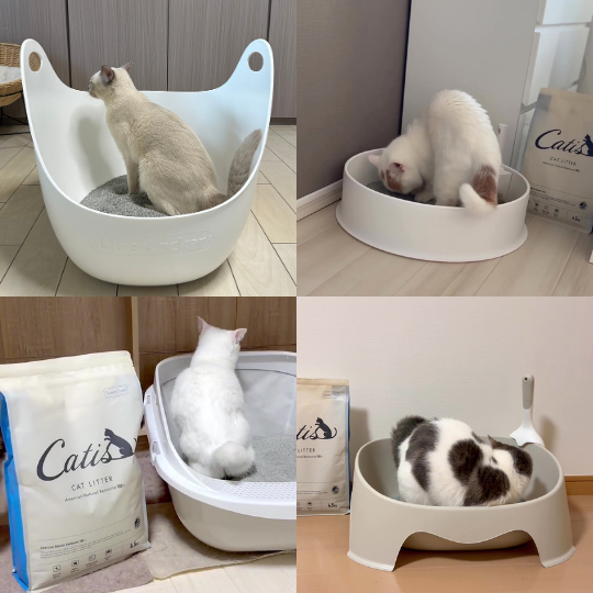 【リピート率高!!】キャットリッター 4袋セット