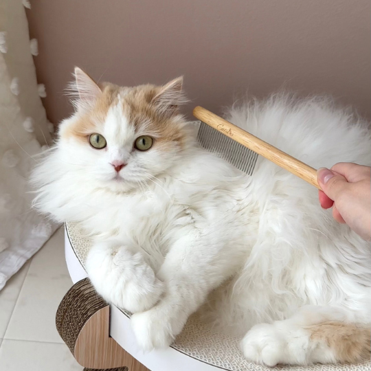 【3本セットがおトク!!】キャットコーム