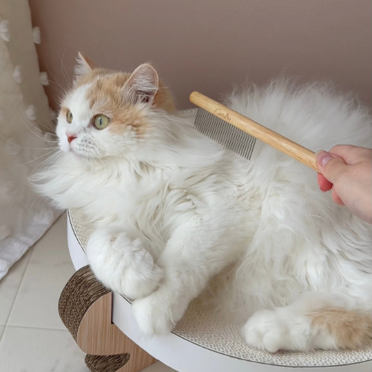 【3本セットがおトク!!】キャットコーム