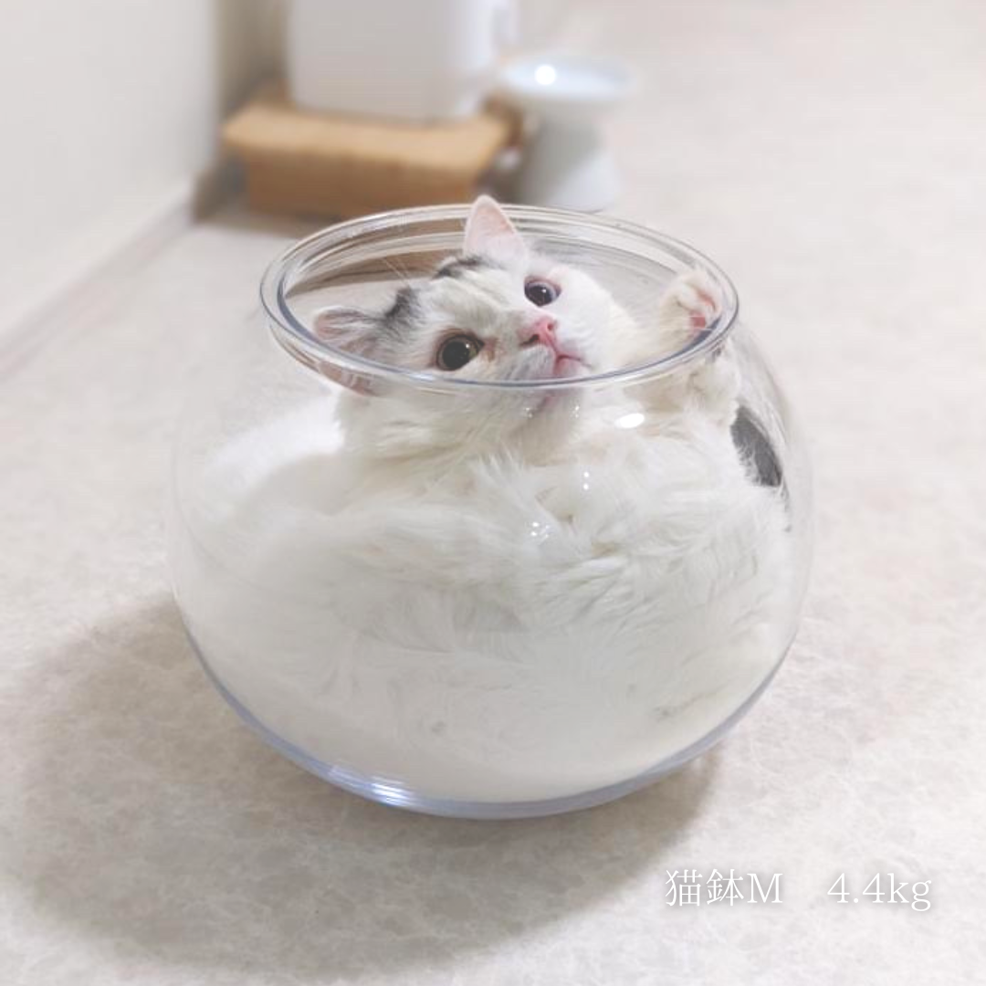 【売れ筋2位】割れない猫鉢(3サイズ)
