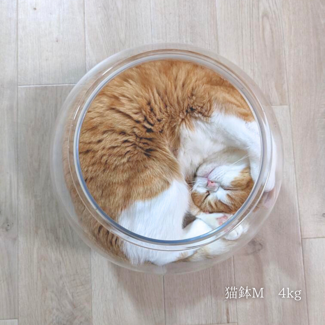 【売れ筋2位】割れない猫鉢(3サイズ)