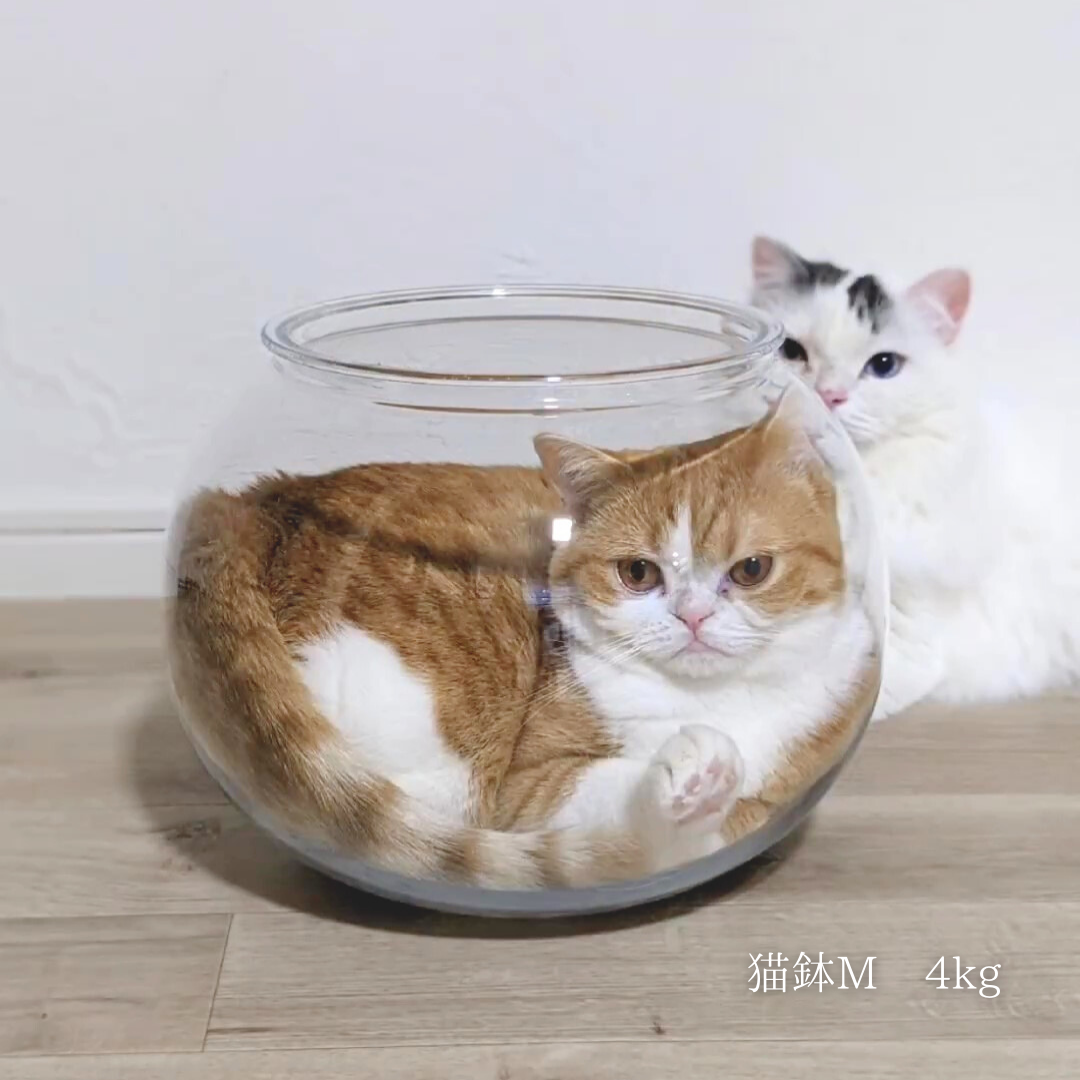 【売れ筋2位】割れない猫鉢(3サイズ)