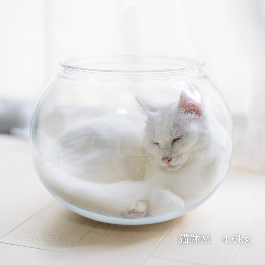 【売れ筋2位】割れない猫鉢(3サイズ)