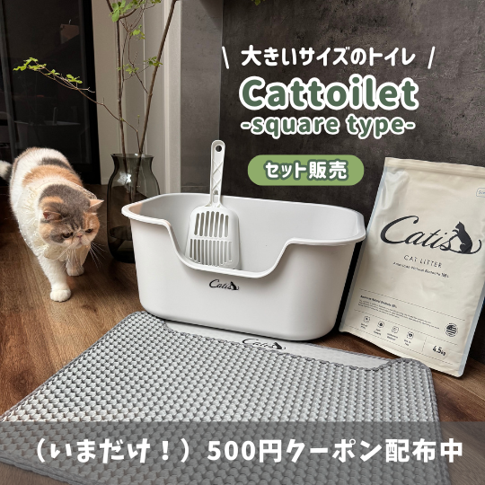 公式】Catis Store｜猫ちゃんへ安心・安全な商品をお届けする