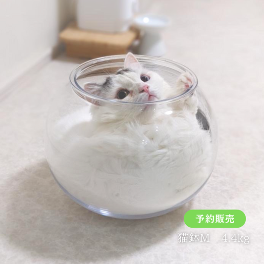 【予約販売】猫鉢Mサイズ（5月末順次発送予定）