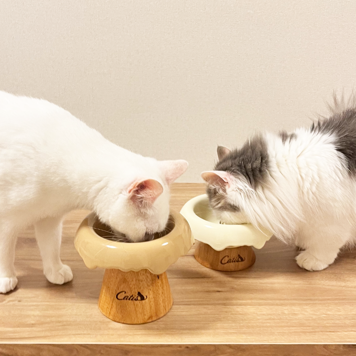こざかなのごほうび（煮干しおやつ）