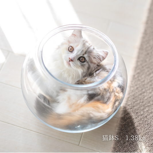 猫鉢Sサイズ