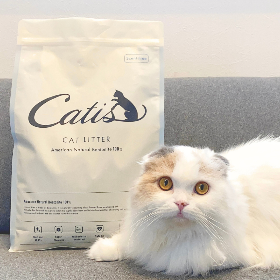 キャットリッター単品 – Catis Store